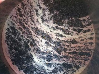 Fermentazione
